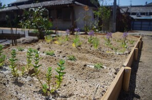 Garden - Guest House Bed&Bicycle (Kashiwara)