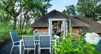 Sprielderbosch 15 luxury home in Holiday park Veluwe and privacy