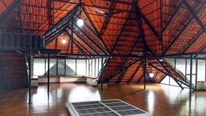 Un espace mansardé avec un plafond en pente, un plancher en bois et une lucarne centrale.