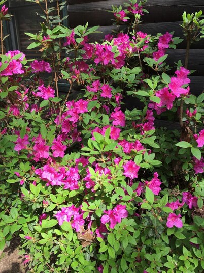 Randy's Retreat by Vacasa