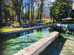 Un área tranquila de piscina al aire libre con agua cristalina, rodeada de árboles y un camino de piedra.