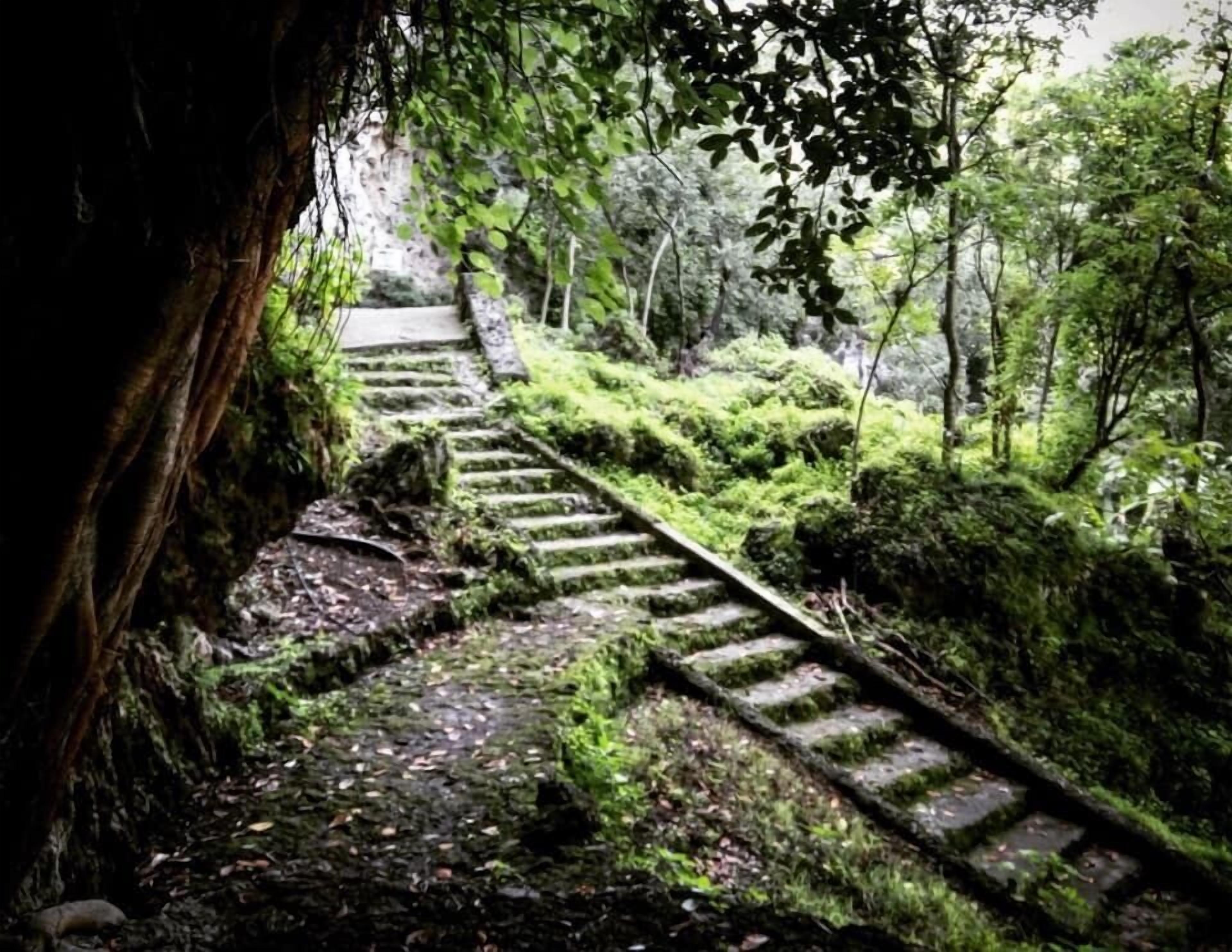 A stone staircase leading up a hill, surrounded by lush greenery and moss.