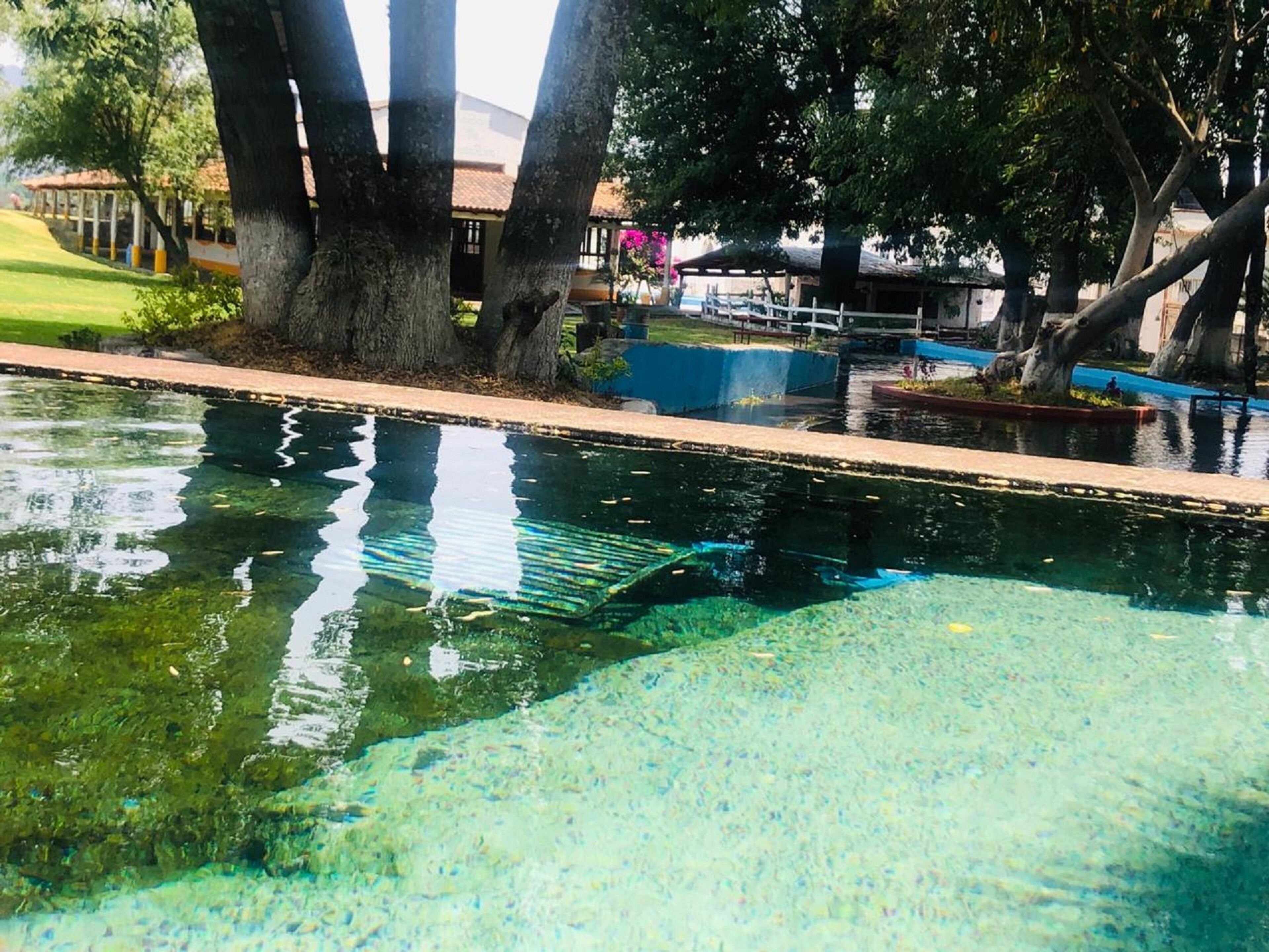 Una piscina cristalina con borde de azulejos, rodeada de árboles y un edificio con techo de tejas.