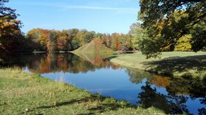 A serene lake surrounded by trees with autumn foliage, a grassy area, and a clear sky. - Best Western Plus Parkhotel & Spa Cottbus (Cottbus)