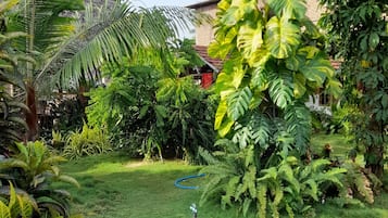 Jardín