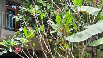 Vue sur le jardin