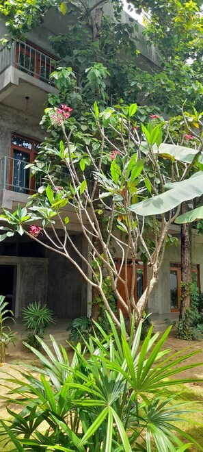 Vista para o jardim