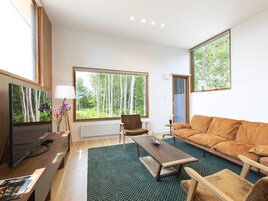 Televisión de pantalla plana, estación para iPod