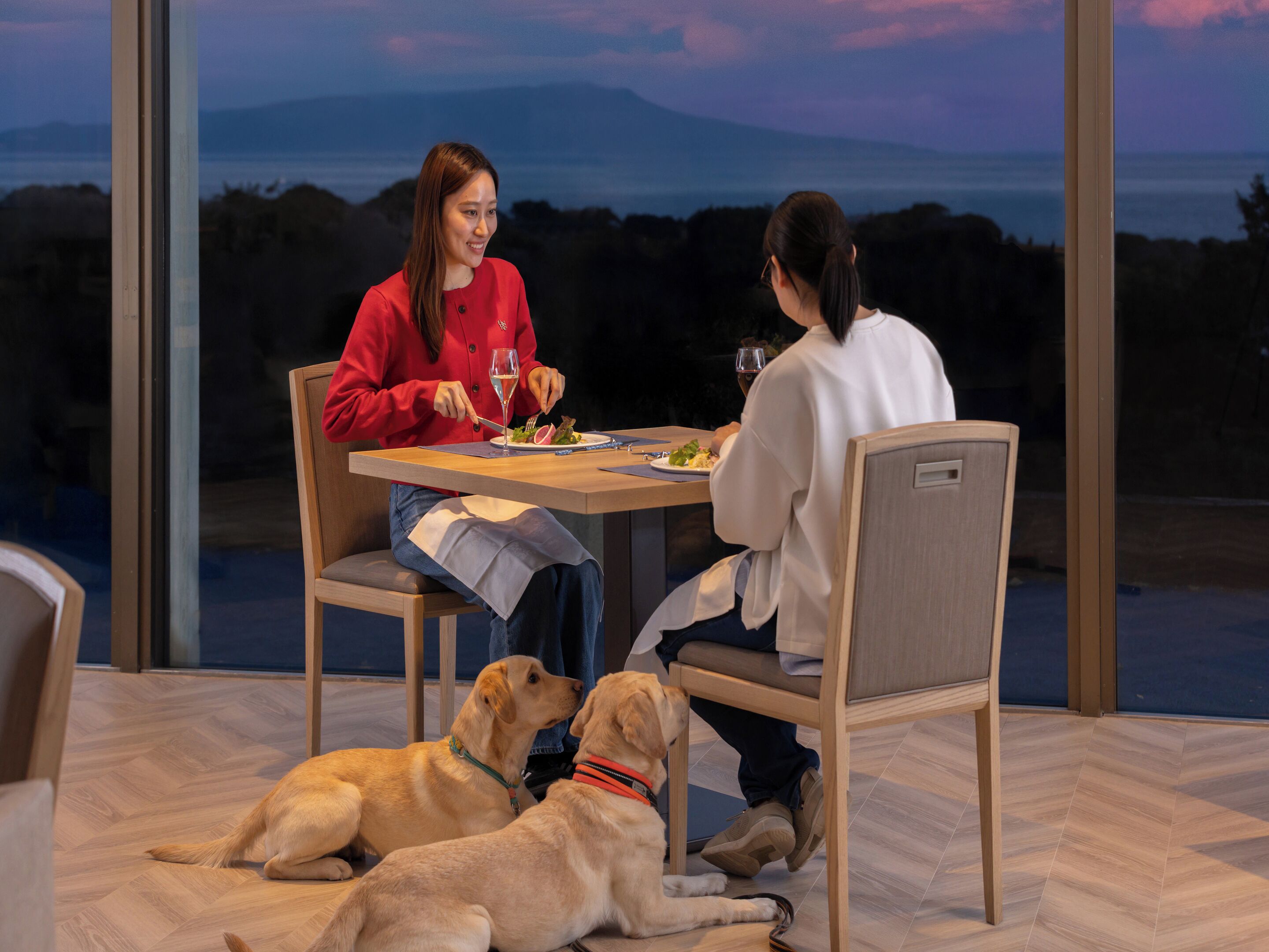 Breakfast, dinner served; French cuisine, ocean views 