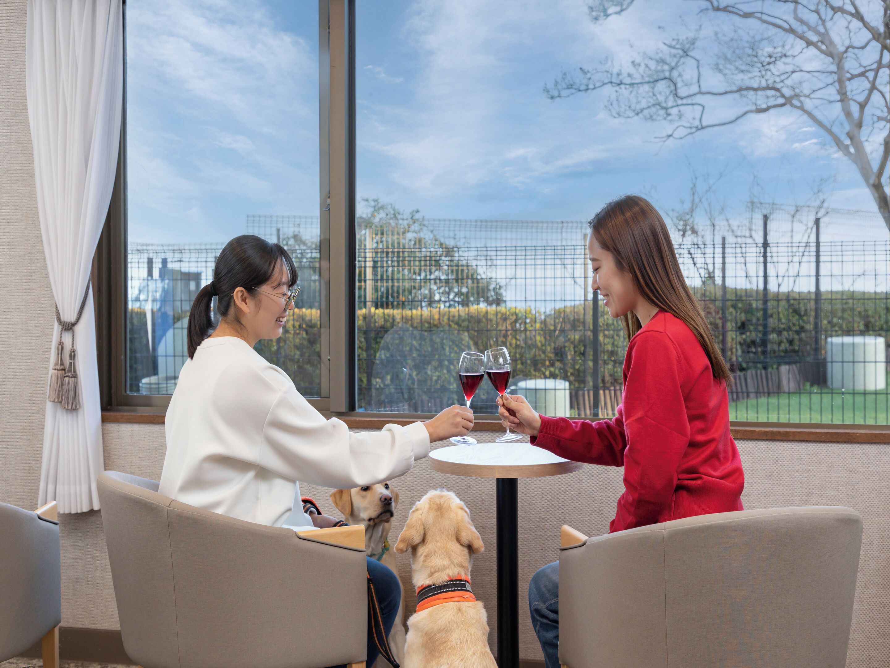 Two people sitting at a table with a view of a fenced outdoor area through large windows.