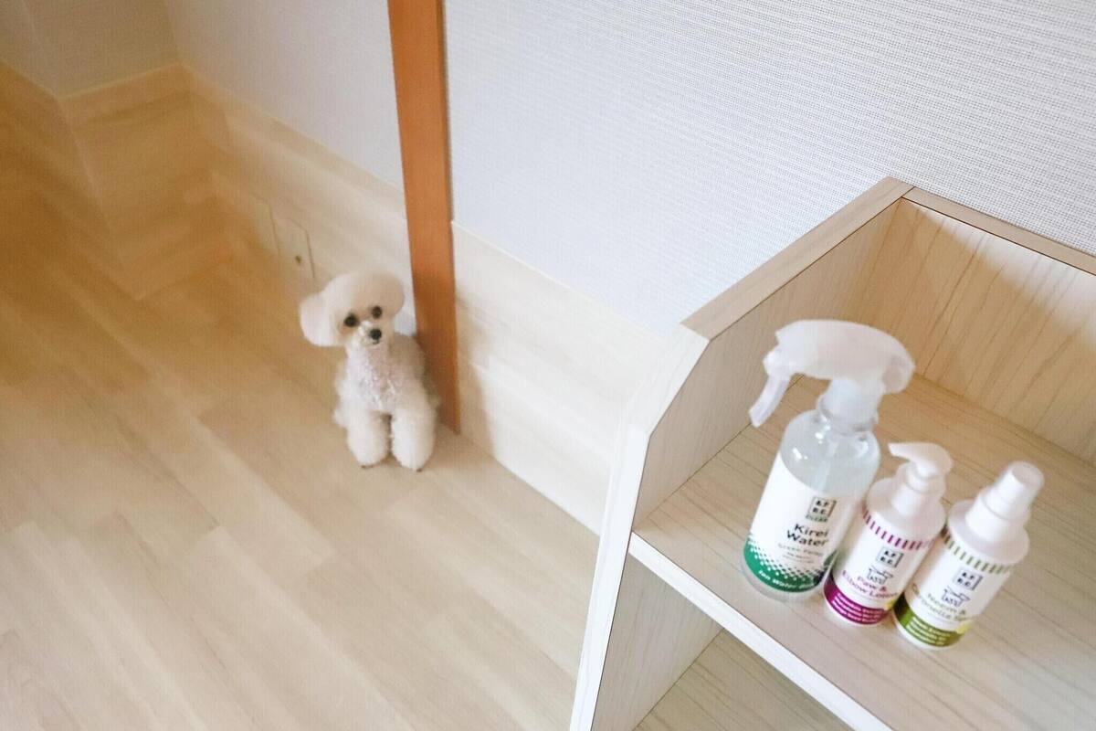 free minibar, in-room safe, desk, blackout curtains