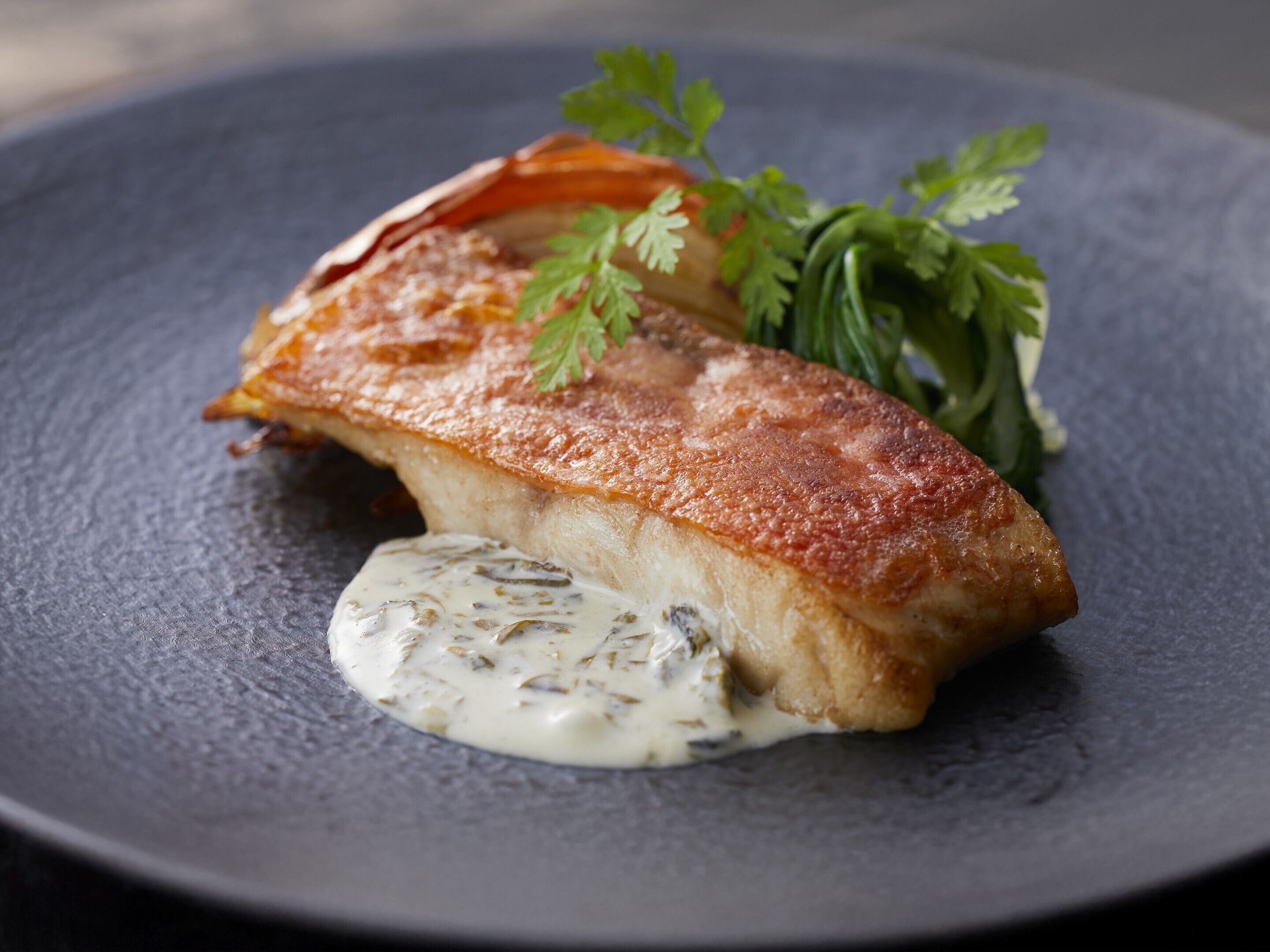 A plate with a piece of fish, a garnish, and a creamy sauce.