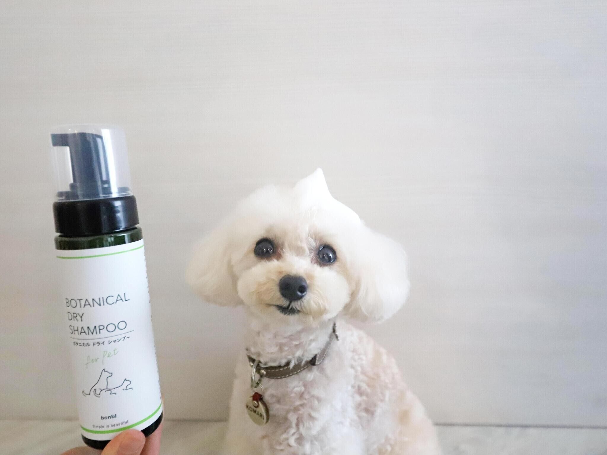 Une bouteille de « shampoing sec botanique pour animaux de compagnie », avec une étiquette, et un chien portant une médaille.