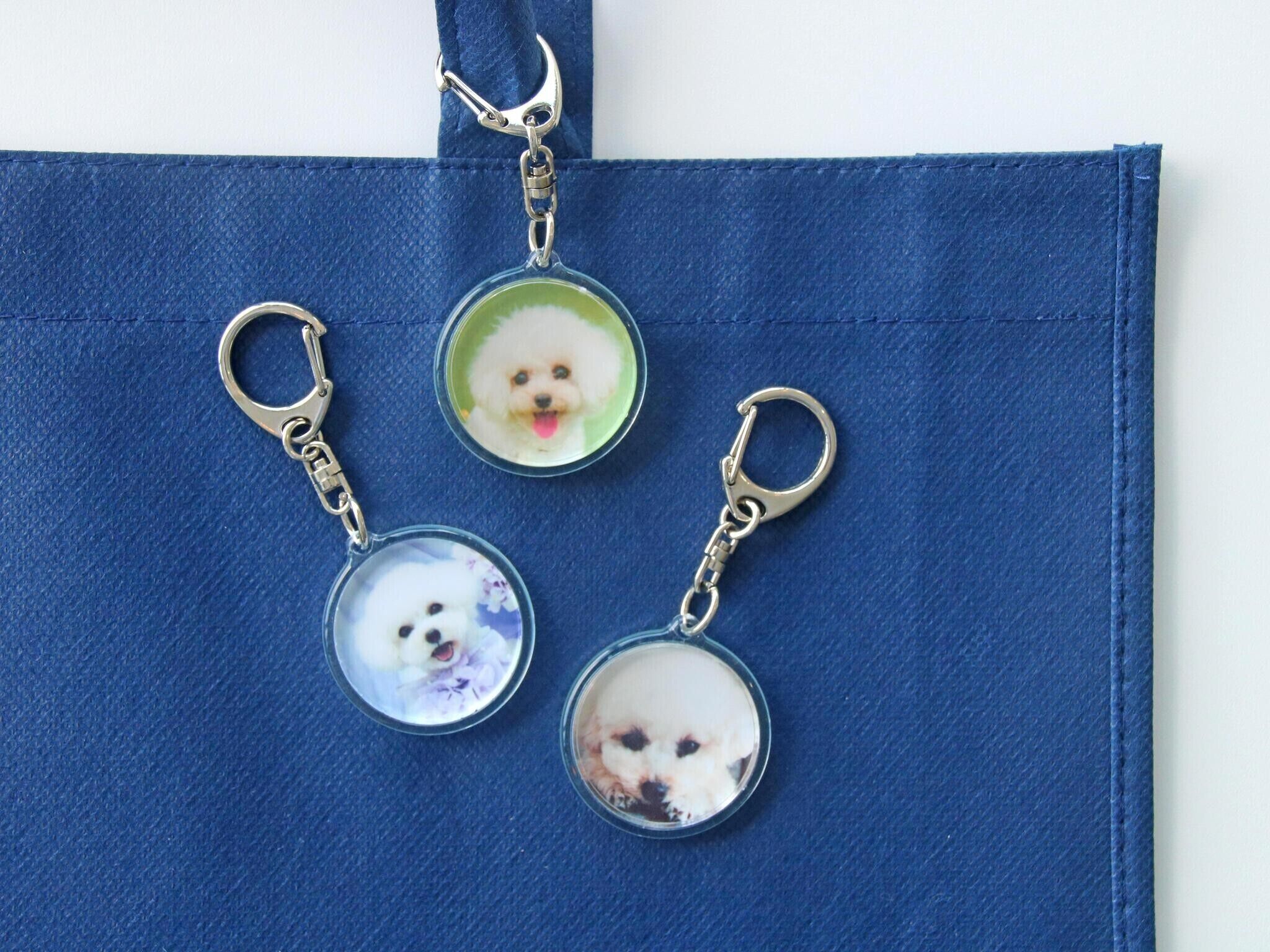 pet-friendly amenities