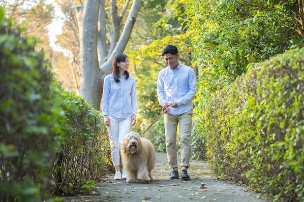 Pet-friendly