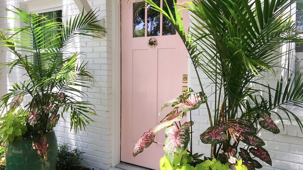 Un edificio de ladrillo blanco con una puerta rosa, rodeado de abundante vegetación verde.