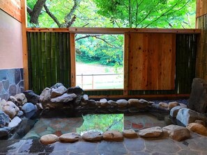 Hot springs - Misasa Onsen Seiryusou (Misasa)