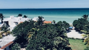 A coastal view with a clear sky, a sandy beach, and a few buildings with palm trees. - AMA Yucatan (Progreso)