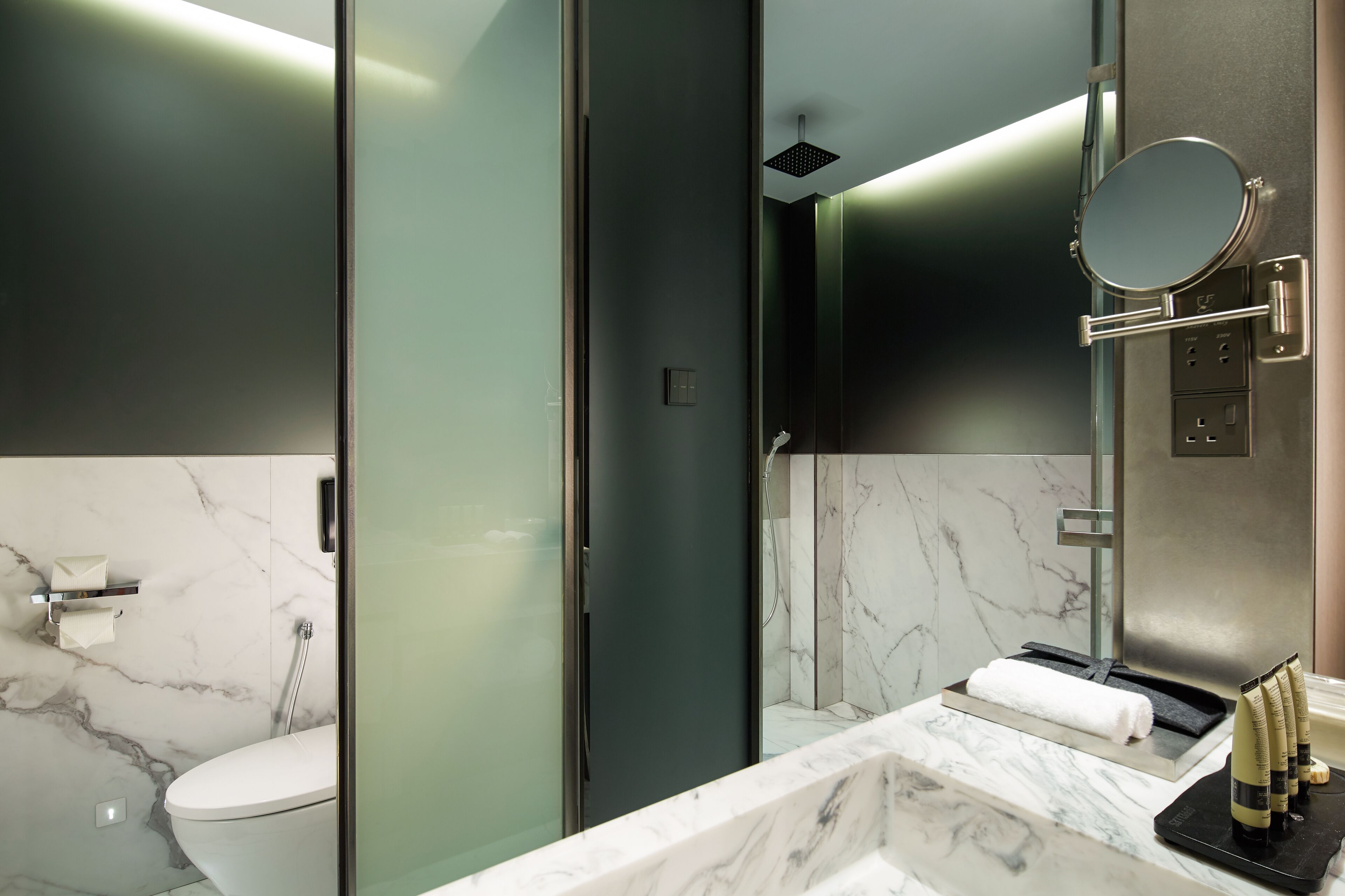 platinum suite with window | bathroom shower