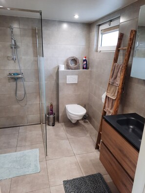 Shower, hair dryer, soap, toilet paper