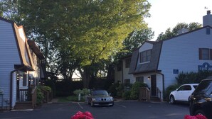A residential street with houses, parked cars, and blooming pink roses in the foreground. - 5 block walk to the boardwalk at  Stockley (Rehoboth Beach)