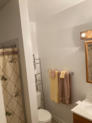 Combined shower/tub, hair dryer, towels, soap