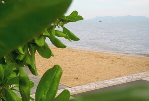 Una playa con un barco a lo lejos y una planta al frente.