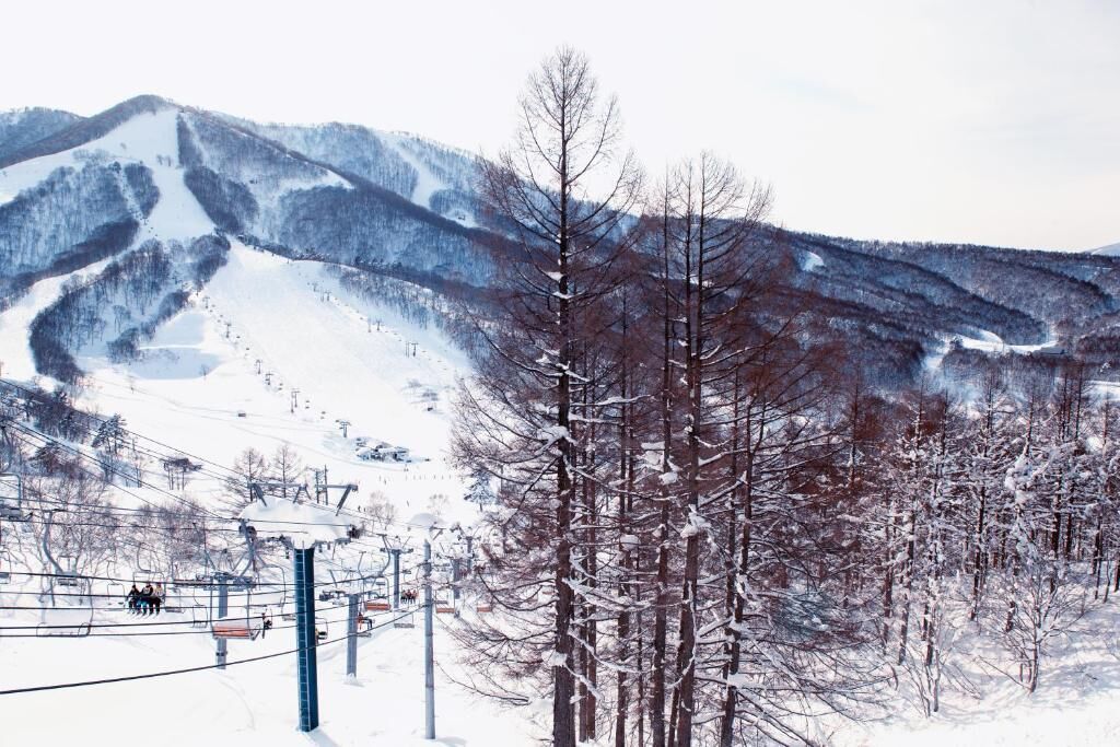 雪地及滑雪運動