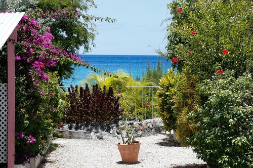 Beachside Cottage - right on the beach!