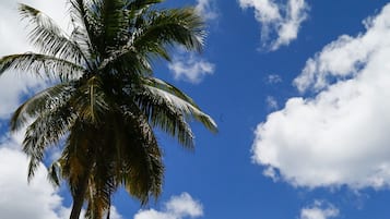 Beach nearby, sun loungers, beach towels