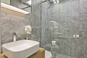 Shower, hair dryer, towels
