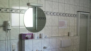 Baño con lavamanos, espejo, inodoro y ducha.