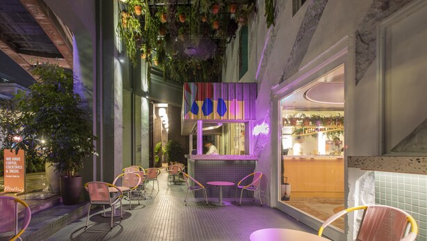 An indoor cafe with seating and a counter, surrounded by potted plants and hanging greenery. - MoMo's Kuala Lumpur (Kuala Lumpur)