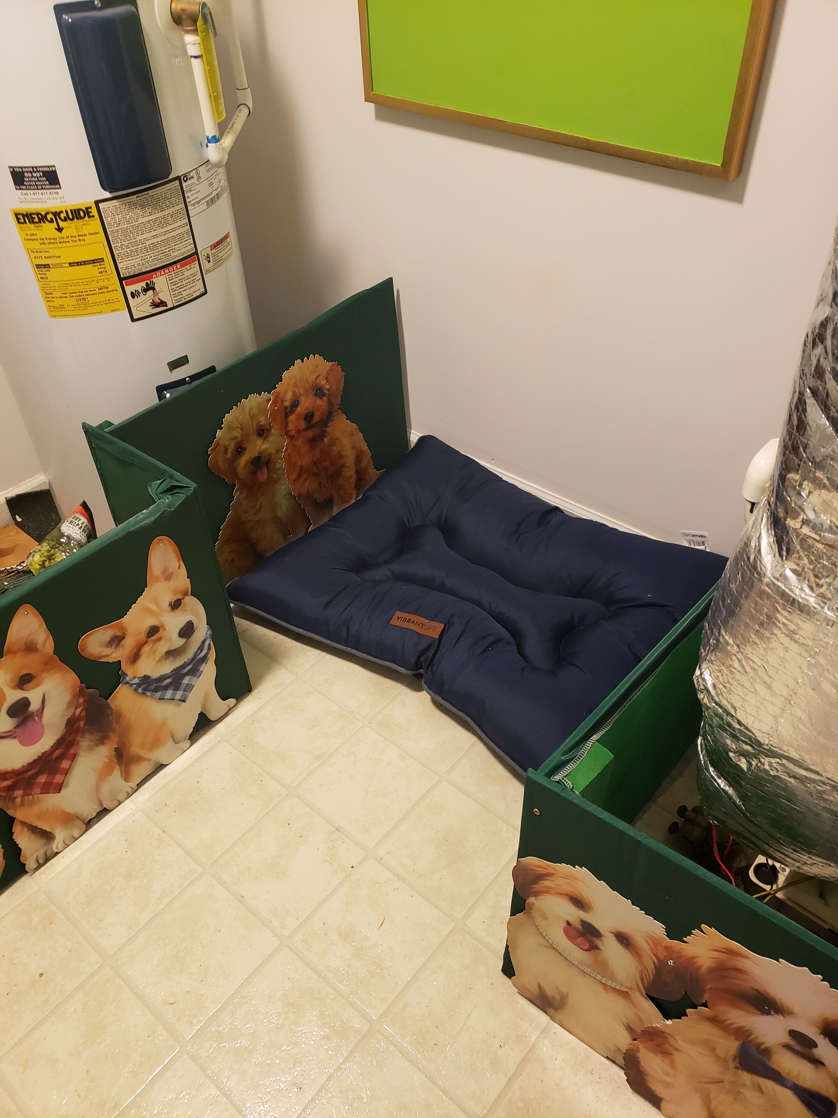 A pet-friendly room with a dog bed, a water dispenser, and a green trash bin.