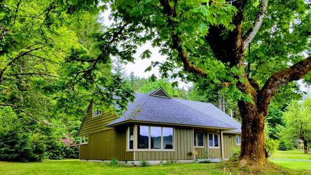 Une maison avec un toit en pente, entourée d’une végétation luxuriante et d’un grand arbre.
