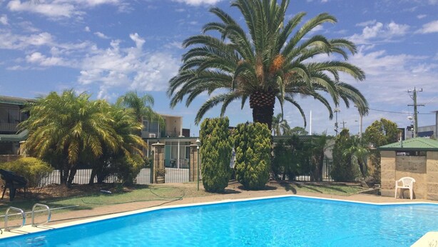 A swimming pool surrounded by palm trees and a building with a green roof. - Platinum Motel (Beckenham)