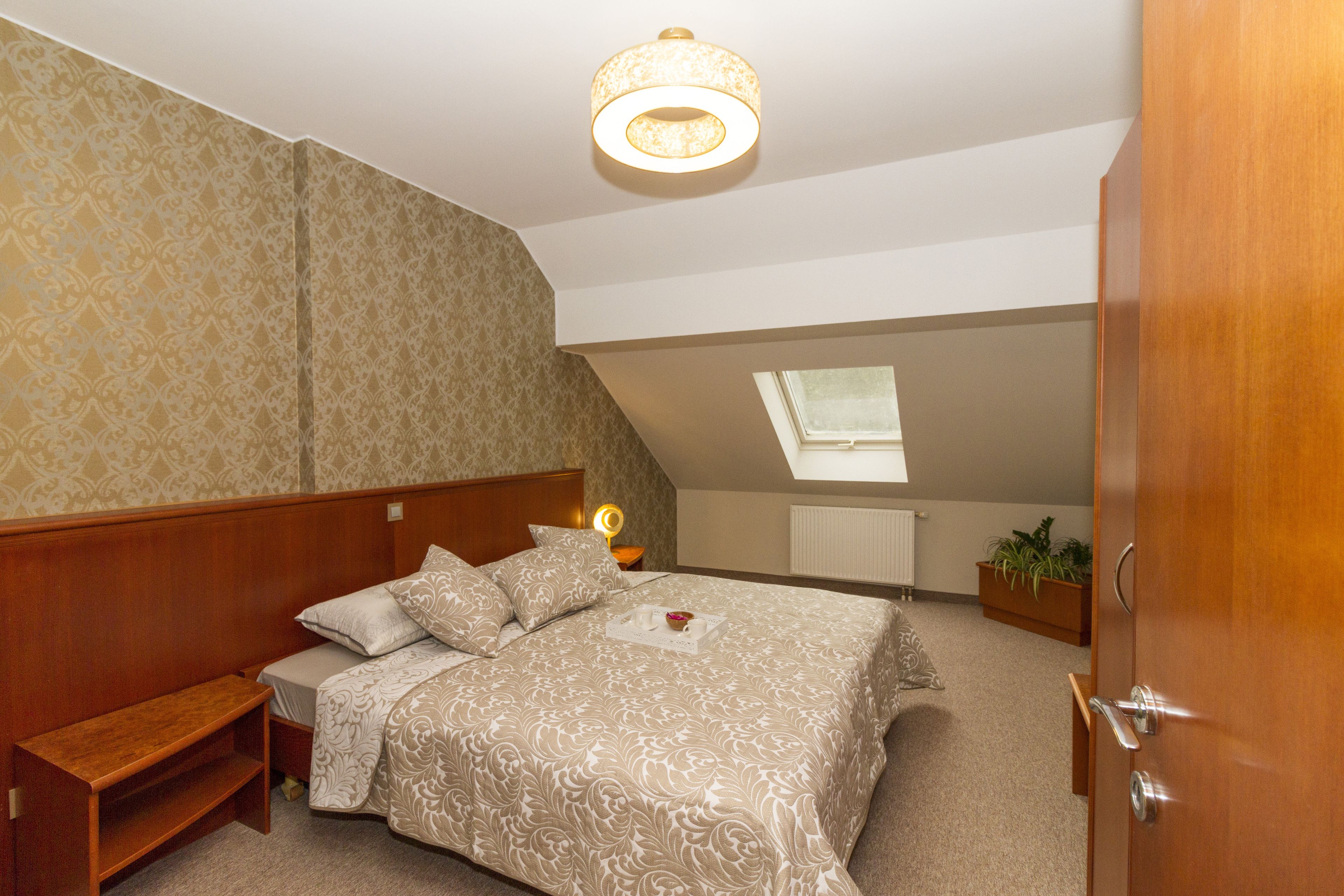 A bedroom with a wooden headboard, a bed with patterned bedding, a bedside table with a lamp, and a skylight.