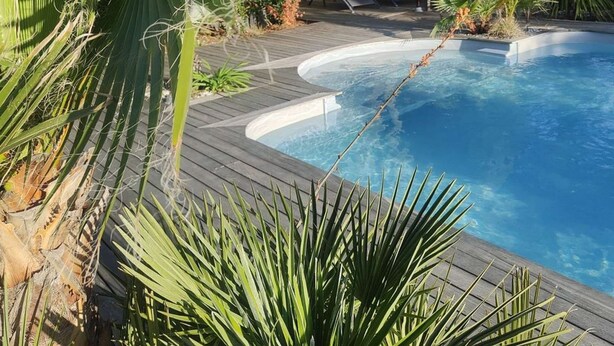 Una piscina con bordo in legno, circondata da diverse piante tropicali.