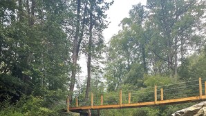 Un puente de madera sobre un arroyo serpenteante, rodeado de vegetación.