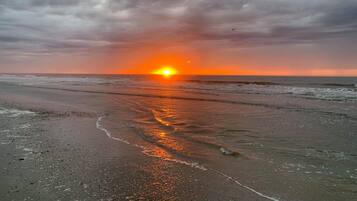 Plage, chaises longues, serviettes de plage