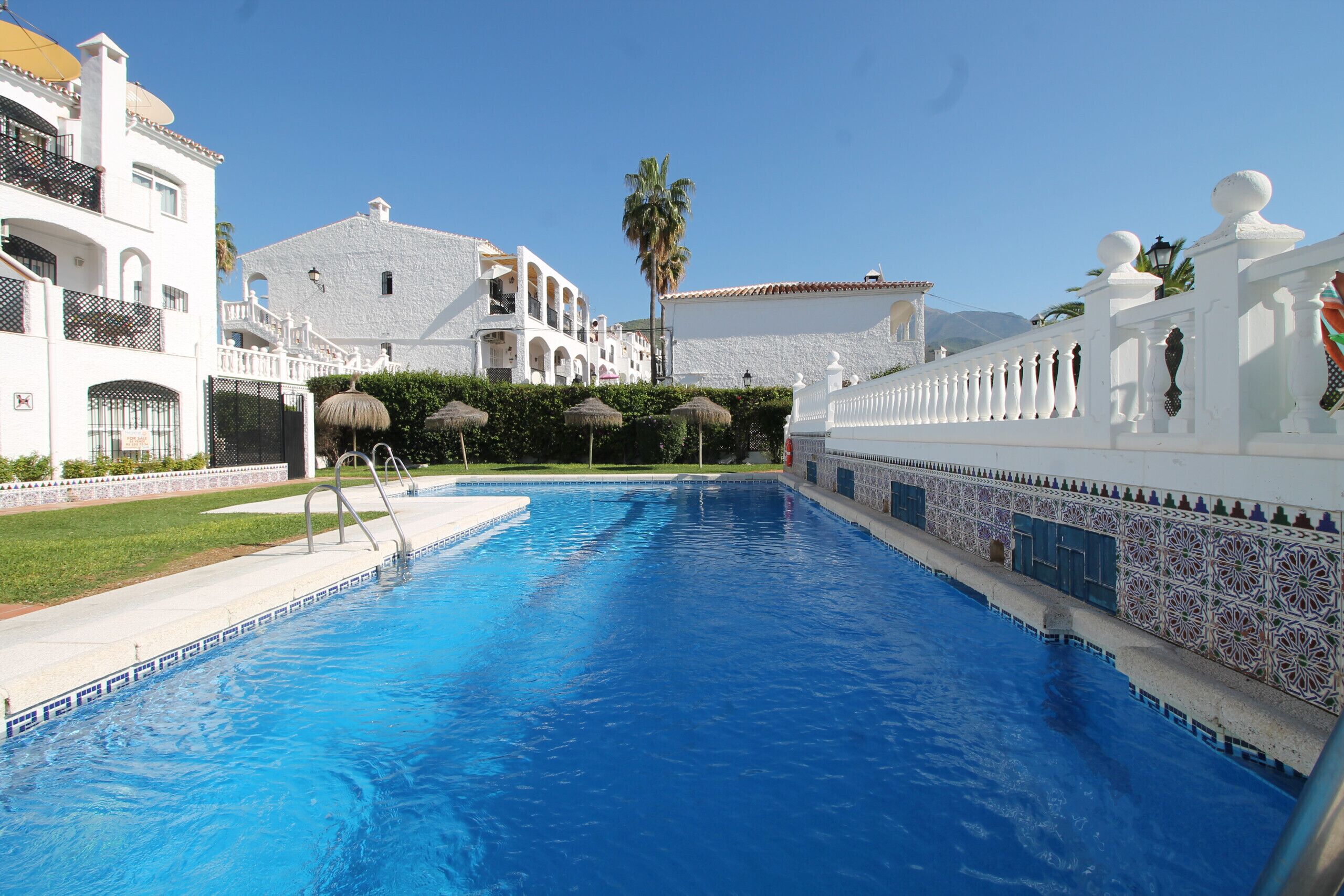Una piscina con bordo piastrellato, circondata da edifici bianchi con balconi e una palma sullo sfondo.