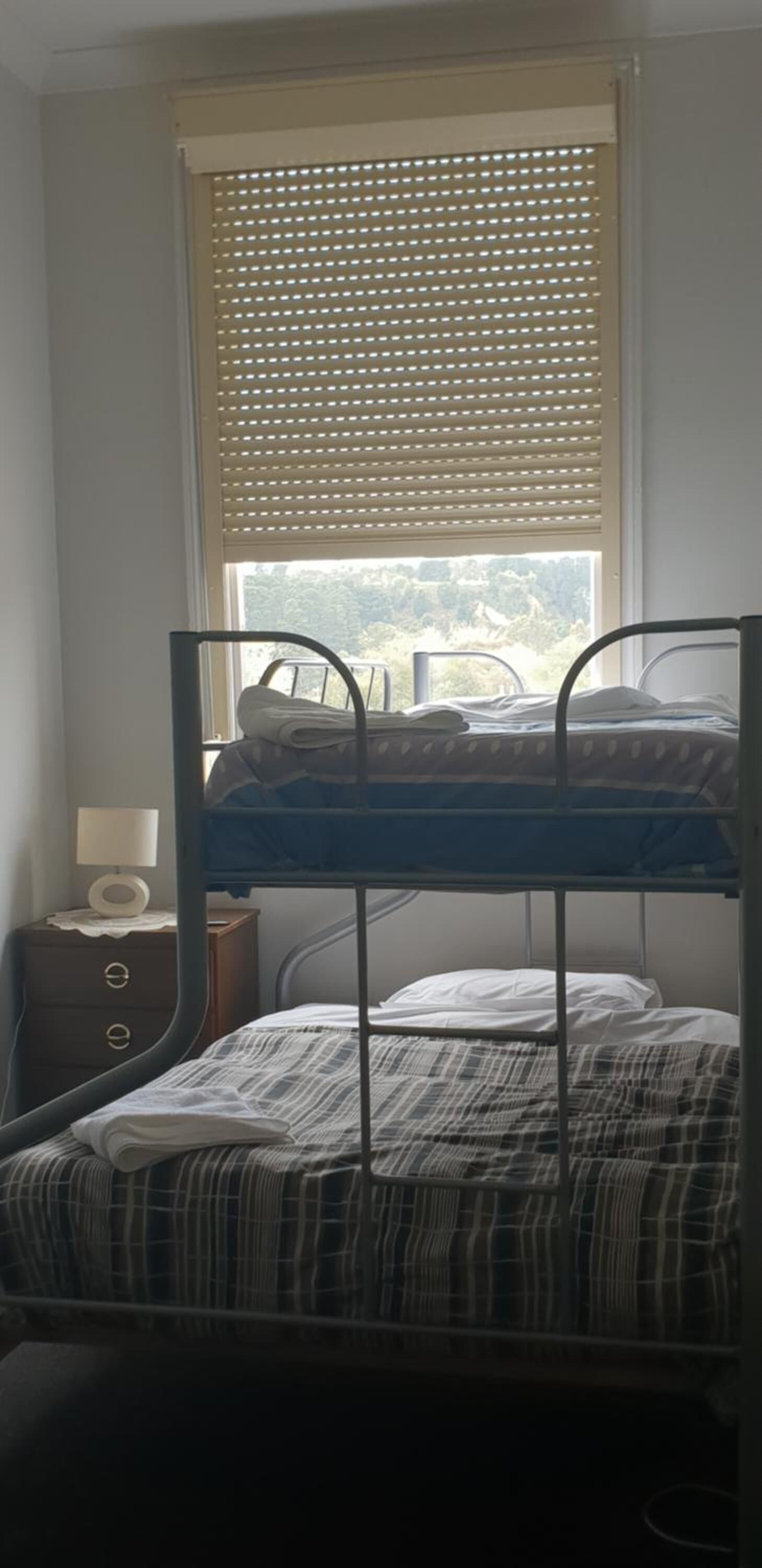 Una cama nido con ventana arriba, una mesita de noche con lámpara y vista a zonas verdes al exterior.
