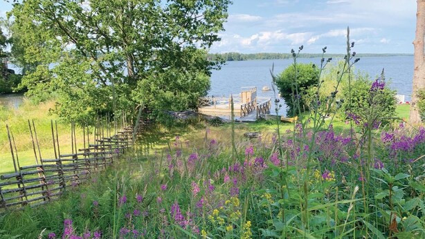 A lakeside garden with a wooden deck, lush greenery, and purple flowers.