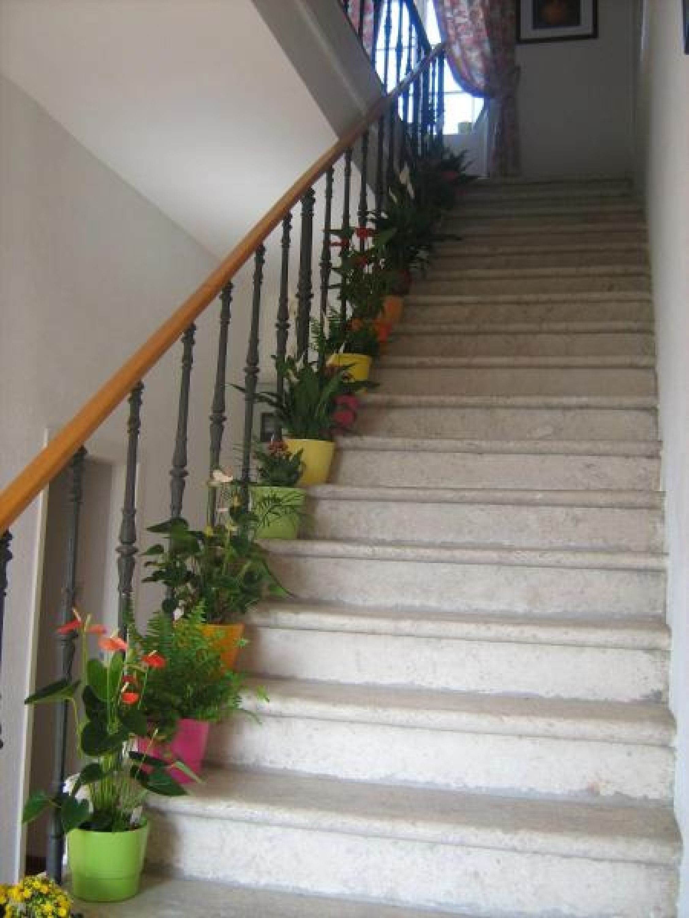 Foto - House Boninovo