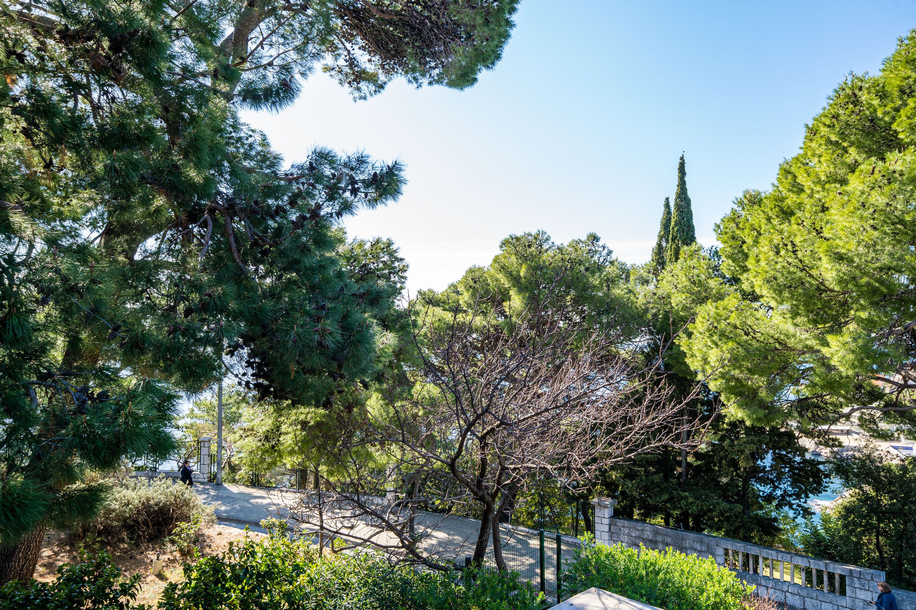 Foto - House Boninovo