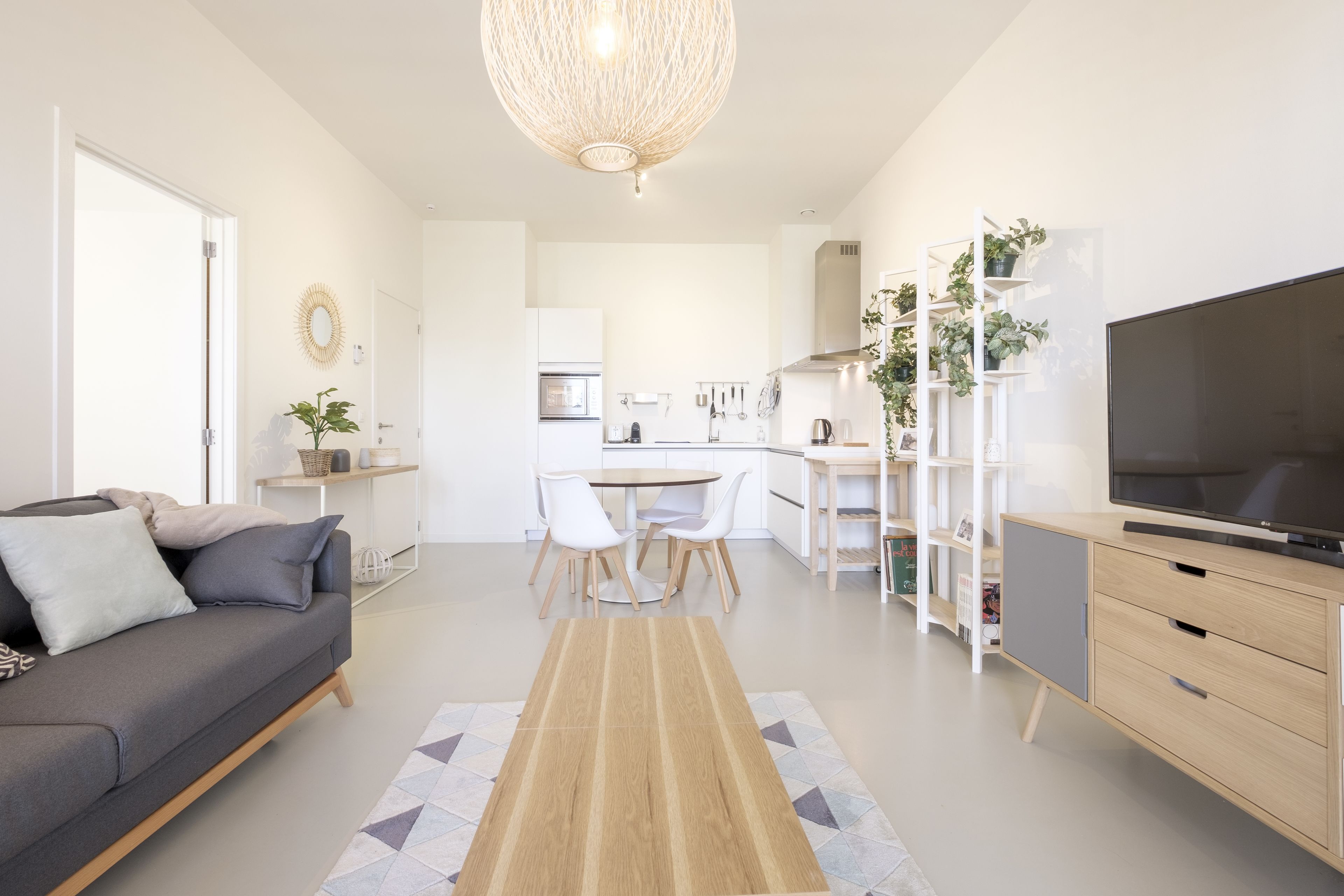 华丽公寓 | 起居区 | 100-厘米纯平电视 （配备数码频道）、电视