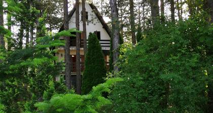 Villa Vera; a cozy house in the mountains