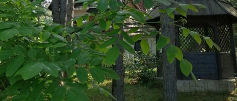 Overnattingsstedets uteområder