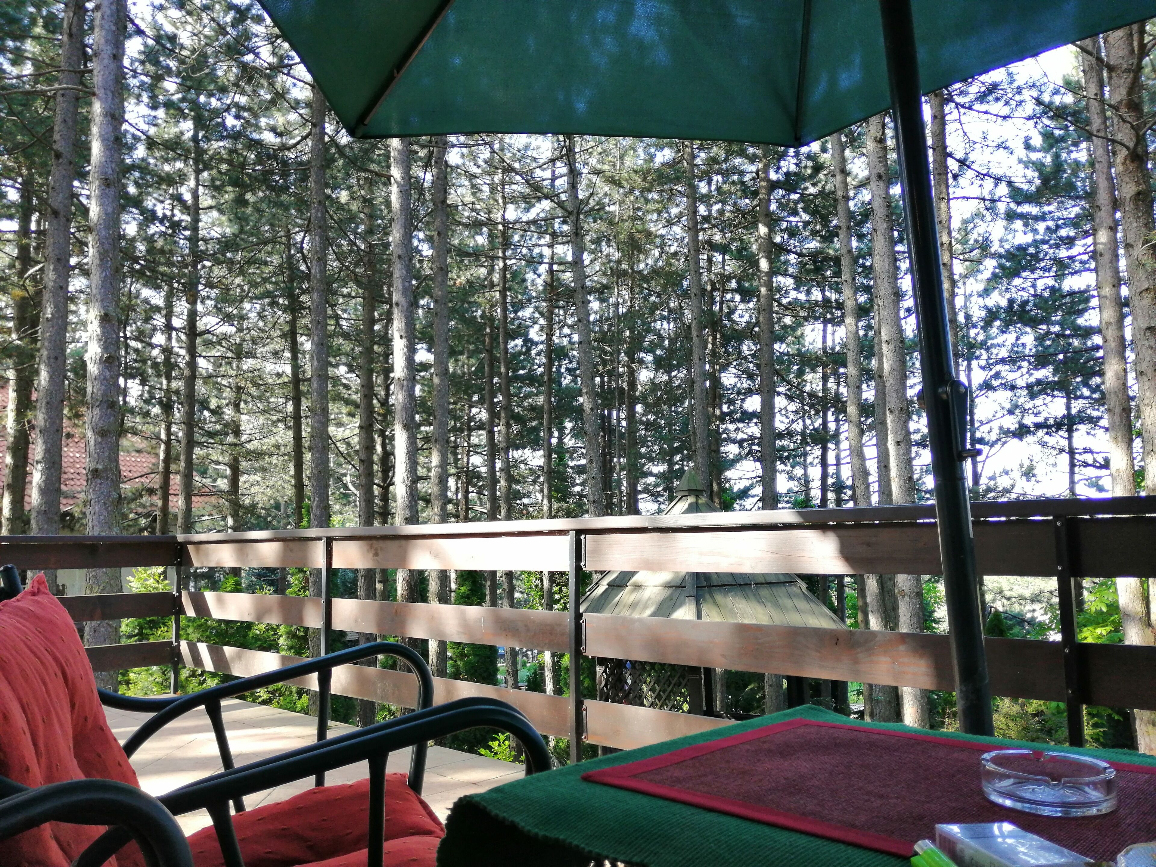 Área da propriedade