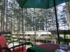 Property grounds - Villa Vera; a cozy house in the mountains (Zlatibor)